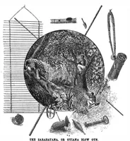 Picture 15 of 17 from Scientific American, Vol. 55, No. 8 (1886) (1886), leaf 10