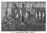 Picture 12 of 17 from Scientific American, Vol. 55, No. 8 (1886) (1886), leaf 9