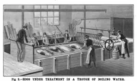 Picture 13 of 17 from Scientific American, Vol. 55, No. 8 (1886) (1886), leaf 9