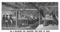 Picture 14 of 17 from Scientific American, Vol. 55, No. 8 (1886) (1886), leaf 9