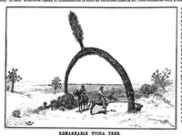 Picture 14 of 18 from Scientific American, Vol. 55, No. 9 (1886) (1886), leaf 8