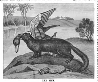 Picture 11 of 15 from Scientific American, Vol. 55, No. 13 (1886) (1886), leaf 9