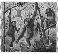 Picture 11 of 16 from Scientific American, Vol. 55, No. 17 (1886) (1886), leaf 8