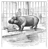 An illustration from Scientific American, Vol. 55, No. 20 (1886) (1886)