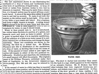 An illustration from Scientific American, Vol. 55, No. 20 (1886) (1886)