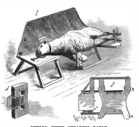 An illustration from Scientific American, Vol. 55, No. 24 (1886) (1886)