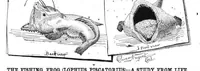 An illustration from Scientific American, Vol. 55, No. 26 (1886) (1886)