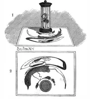 Picture 18 of 20 from Scientific American, Vol. 56, No. 6 (1887) (1887), leaf 10