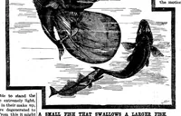 Picture 12 of 20 from Scientific American, Vol. 56, No. 6 (1887) (1887), leaf 8