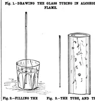 Picture 10 of 17 from Scientific American, Vol. 56, No. 7 (1887) (1887), leaf 7