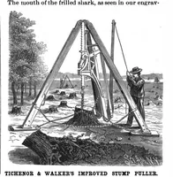 Picture 4 of 18 from Scientific American, Vol. 56, No. 9 (1887) (1887), leaf 3