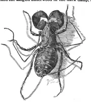 Picture 12 of 18 from Scientific American, Vol. 56, No. 10 (1887) (1887), leaf 10