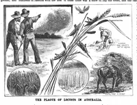 Picture 12 of 16 from Scientific American, Vol. 56, No. 14 (1887) (1887), leaf 8