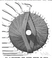 Picture 8 of 13 from Scientific American, Vol. 56, No. 17 (1887) (1887), leaf 7