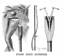 Picture 2 of 14 from Scientific American, Vol. 56, No. 24 (1887) (1887), leaf 3