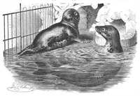 An illustration from Scientific American, Vol. 57, No. 5 (1887) (1887)