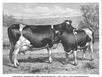 An illustration from Scientific American, Vol. 57, No. 5 (1887) (1887)