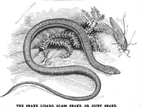 Picture 12 of 16 from Scientific American, Vol. 57, No. 10 (1887) (1887), leaf 9