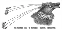 Picture 7 of 14 from Scientific American, Vol. 57, No. 14 (1887) (1887), leaf 8
