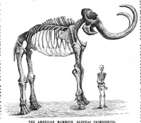 Picture 13 of 18 from Scientific American, Vol. 57, No. 19 (1887) (1887), leaf 8