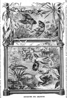 Picture 8 of 10 from Scientific American, Vol. 57, No. 22 (1887) (1887), leaf 8