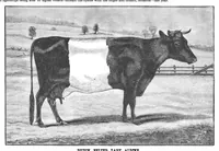 An illustration from Scientific American, Vol. 57, No. 27 (1887) (1887)