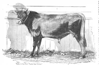 An illustration from Scientific American, Vol. 57, No. 27 (1887) (1887)