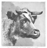 An illustration from Scientific American, Vol. 57, No. 27 (1887) (1887)