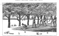 Picture 9 of 13 from Scientific American, Vol. 58, No. 2 (1888) (1888), leaf 7