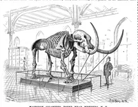 An illustration from Scientific American, Vol. 58, No. 3 (1888) (1888)