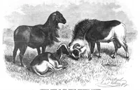 An illustration from Scientific American, Vol. 58, No. 4 (1888) (1888)