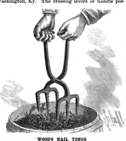 An illustration from Scientific American, Vol. 58, No. 5 (1888) (1888)