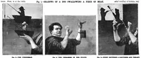 Picture 10 of 15 from Scientific American, Vol. 58, No. 8 (1888) (1888), leaf 9