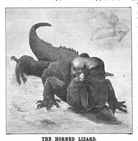 An illustration from Scientific American, Vol. 58, No. 11 (1888) (1888)