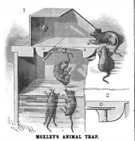 Picture 7 of 20 from Scientific American, Vol. 58, No. 14 (1888) (1888), leaf 5