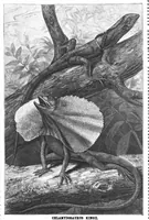 An illustration from Scientific American, Vol. 58, No. 14 (1888) (1888)
