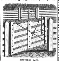 Picture 8 of 18 from Scientific American, Vol. 58, No. 19 (1888) (1888), leaf 5