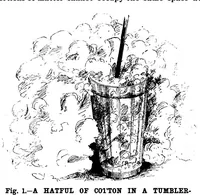 Picture 11 of 13 from Scientific American, Vol. 59, No. 2 (1888) (1888), leaf 10