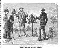 Picture 11 of 17 from Scientific American, Vol. 59, No. 8 (1888) (1888), leaf 8