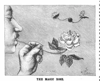 An illustration from Scientific American, Vol. 59, No. 8 (1888) (1888)