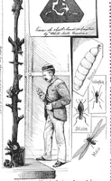 Picture 8 of 13 from Scientific American, Vol. 59, No. 10 (1888) (1888), leaf 8