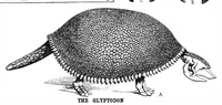 An illustration from Scientific American, Vol. 59, No. 15 (1888) (1888)