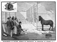 An illustration from Scientific American, Vol. 59, No. 25 (1888) (1888)