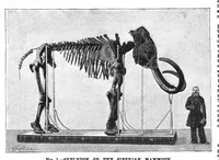 Picture 11 of 18 from Scientific American, Vol. 59, No. 26 (1888) (1888), leaf 8