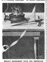 Picture 14 of 19 from Scientific American, Vol. 60, No. 9 (1889) (1889), leaf 8