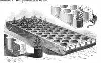 Picture 7 of 17 from Scientific American, Vol. 60, No. 13 (1889) (1889), leaf 4