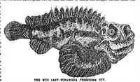 An illustration from Scientific American, Vol. 60, No. 15 (1889) (1889)