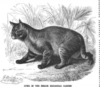 Picture 6 of 15 from Scientific American, Vol. 60, No. 24 (1889) (1889), leaf 8