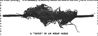 Picture 8 of 21 from Scientific American, Vol. 60, No. 25 (1889) (1889), leaf 4