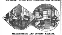 Picture 10 of 18 from Scientific American, Vol. 61, No. 1 (1889) (1889), leaf 7
